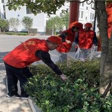 愛國衛(wèi)生重參與 志愿服務齊行動——麒麟區(qū)太和街道開展建筑物清潔服務